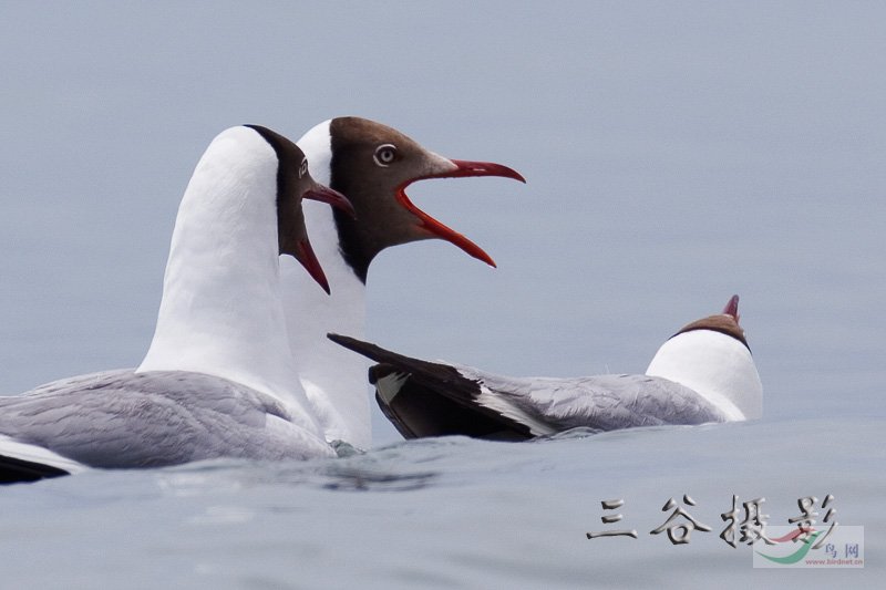 Re:����2007�������Ӱ������20��ͼƬ(��)