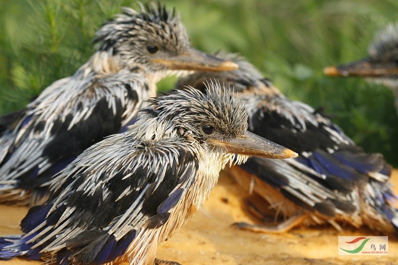 Re:����2007�������Ӱ������20��ͼƬ(��)