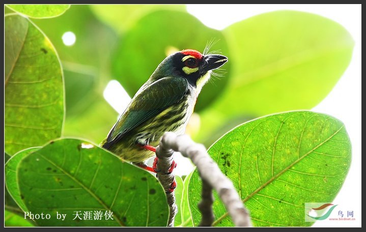 Re:����2007�������Ӱ������20��ͼƬ(��)