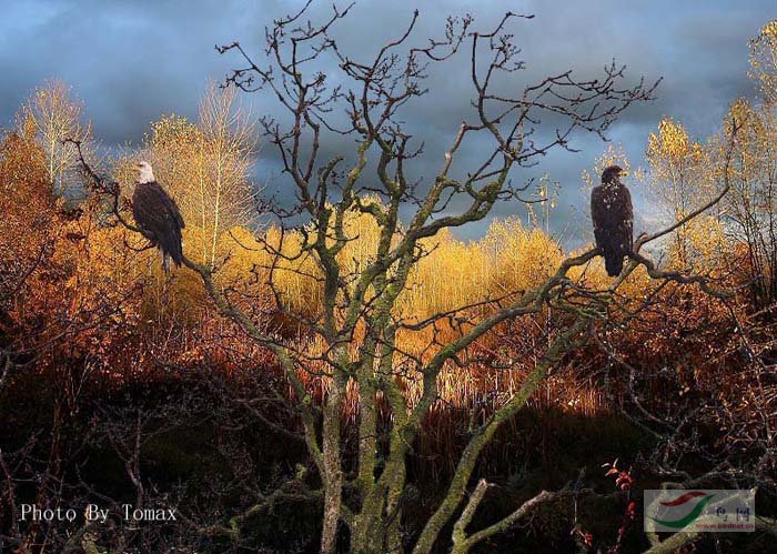 Re:����2007�������Ӱ������20��ͼƬ(��)