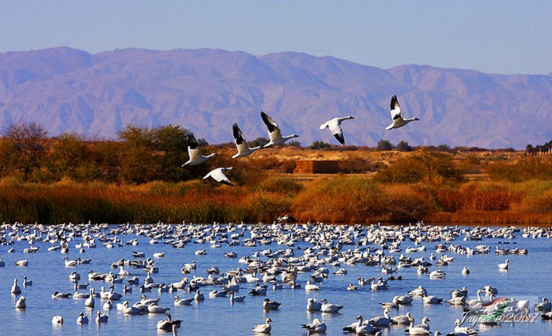 Re:����2007�������Ӱ������20��ͼƬ(��)