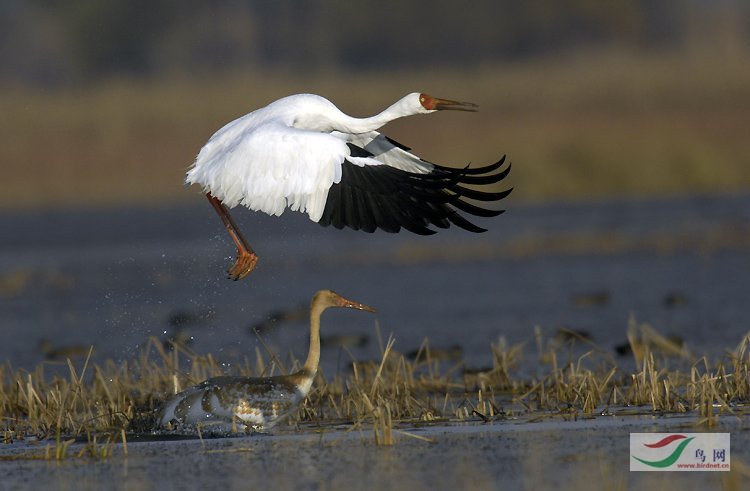 Re:����2007�������Ӱ������20��ͼƬ(��)