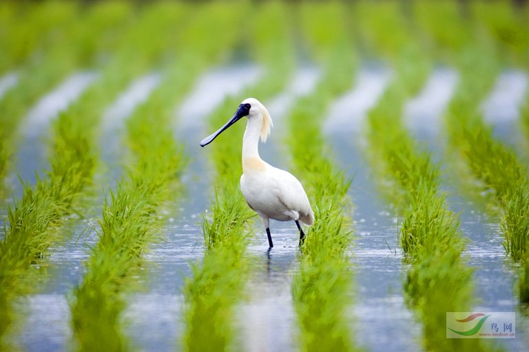 Re:����2007�������Ӱ������20��ͼƬ(��)