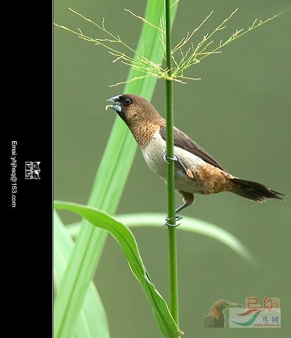 Re:����2007�������Ӱ������20��ͼƬ(��)