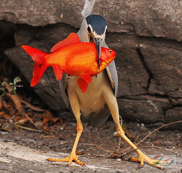 Re:����2007�������Ӱ������20��ͼƬ(��)