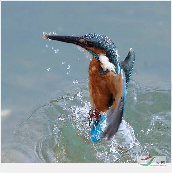 Re:����2007�������Ӱ������20��ͼƬ(��)