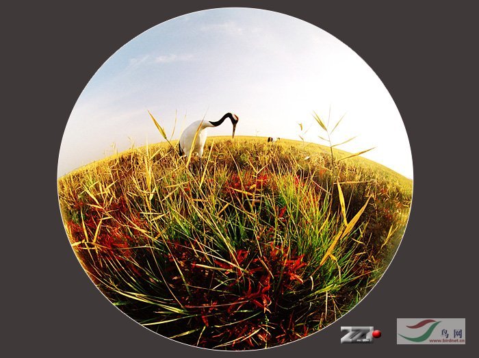 Re:����2007�������Ӱ������20��ͼƬ(��)