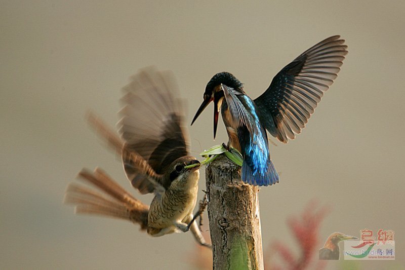 Re:����2007�������Ӱ������20��ͼƬ(��)