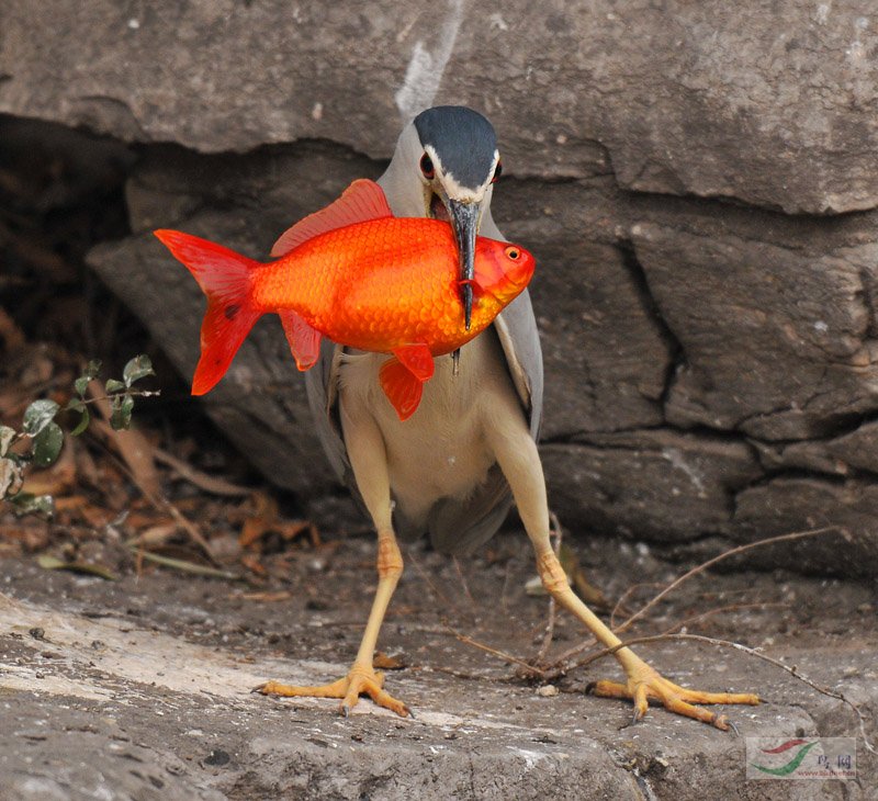 Re:����2007�������Ӱ������20��ͼƬ(��)