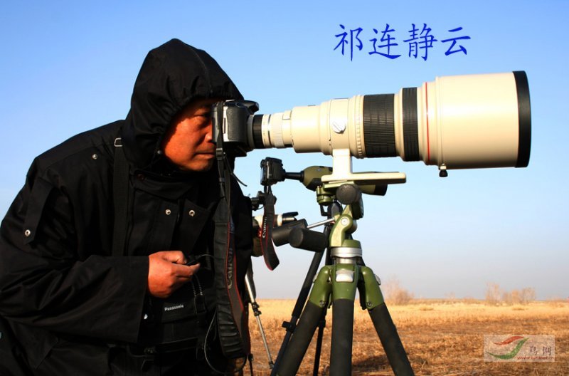 Re:[����]������Ƭ�Ա�.......��ҳ尡�����ˮŶ