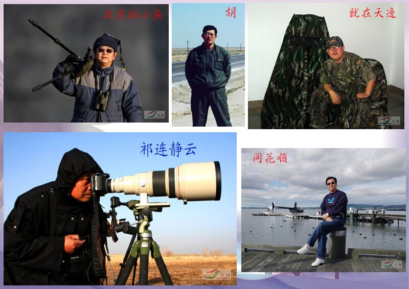 Re:[����]������Ƭ�Ա�.......��ҳ尡�����ˮŶ