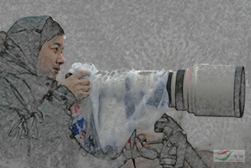 Re:[����]������Ƭ�Ա�.......��ҳ尡�����ˮŶ