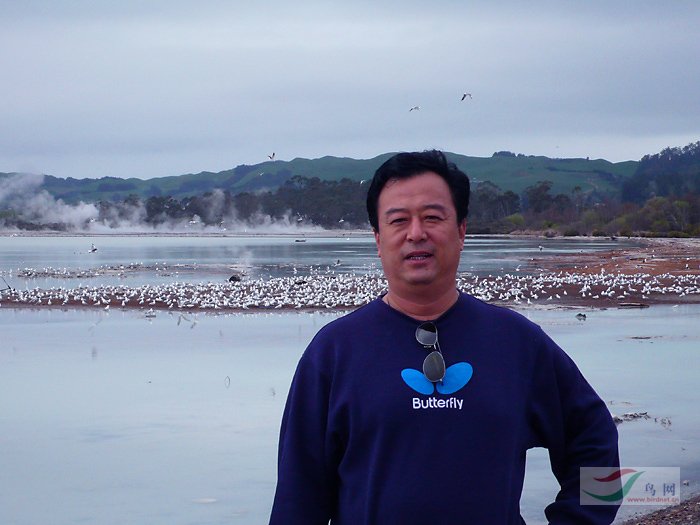 Re:[����]������Ƭ�Ա�.......��ҳ尡�����ˮŶ