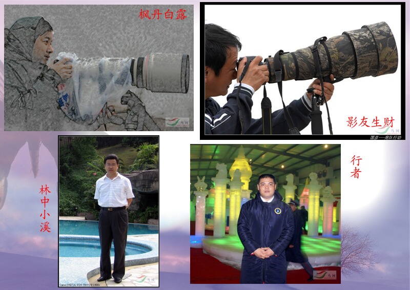 Re:[����]������Ƭ�Ա�.......��ҳ尡�����ˮŶ