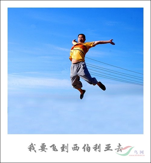 Re:[����]������Ƭ�Ա�.......��ҳ尡�����ˮŶ