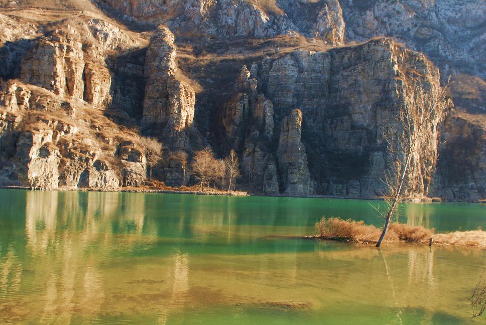 (普通秋沙鸭)冬日里的畅想_磁县小三峡