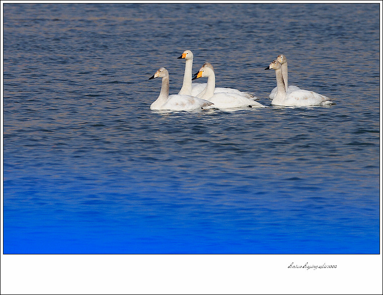 20090106_6d858ce144175c646060MoW4qkfO2glQ.jpg