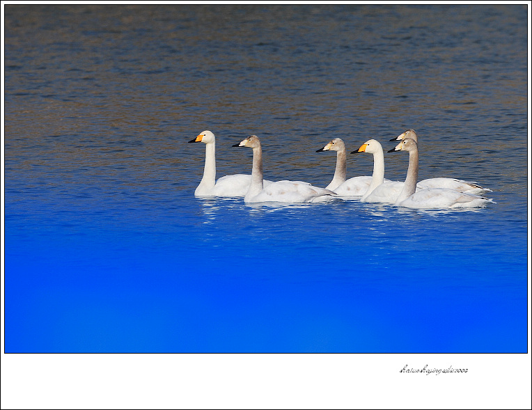 20090106_c7d3c77b769adab18a7ffrtCvDBGZJGb.jpg