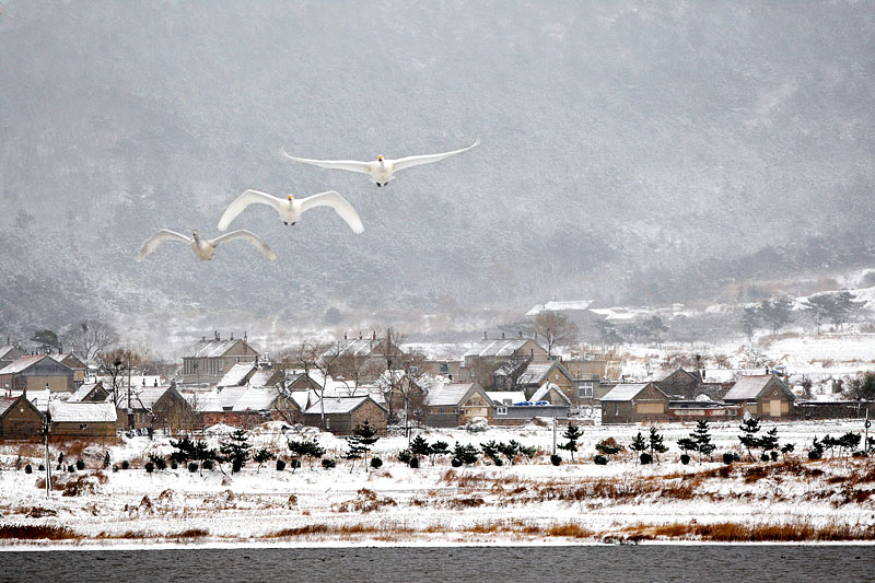 ��ѩ����ʹ��