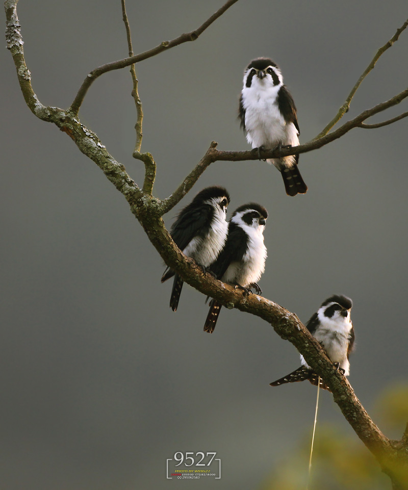 �� �� ��