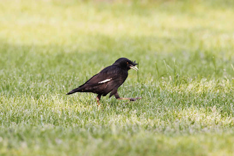 20090527_8284ca3e6415b0d1e030DCvFnav0BiBn.jpg