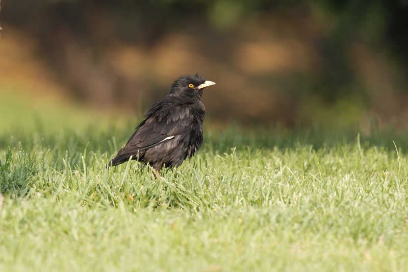 20090527_e71b42cb038189c9c596JFTwRWTFLEBh.jpg