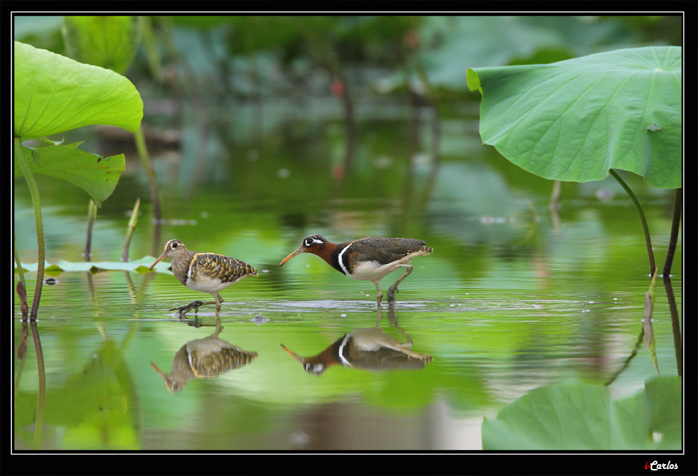 20090627_7b25b098ae40f4935761c1O7YPosOYNk.jpg