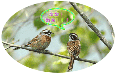 400_257gif 动态图 动图