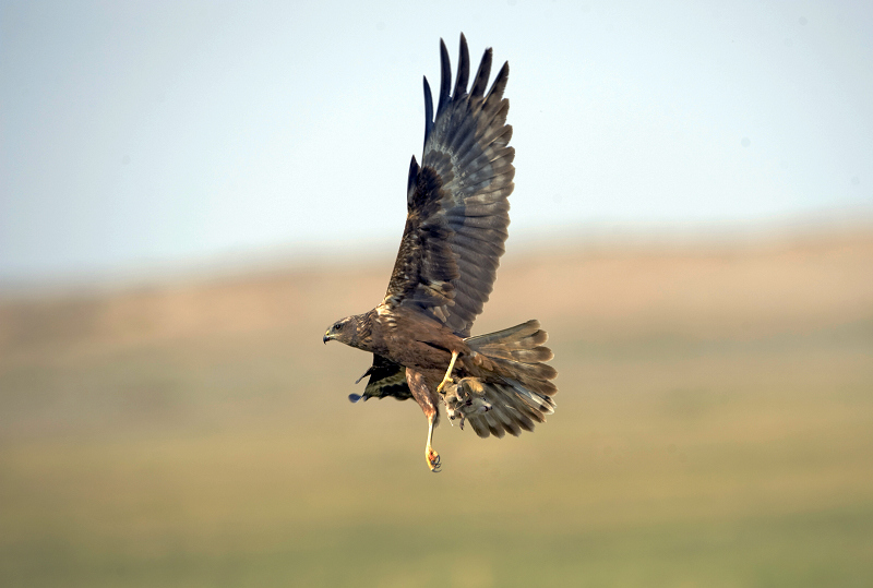 20090719_a7108f1babbb495684fc43hpJYtkFnD5[1].jpg
