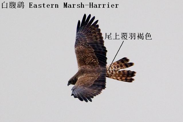 54619801.IMG_9277.jpg