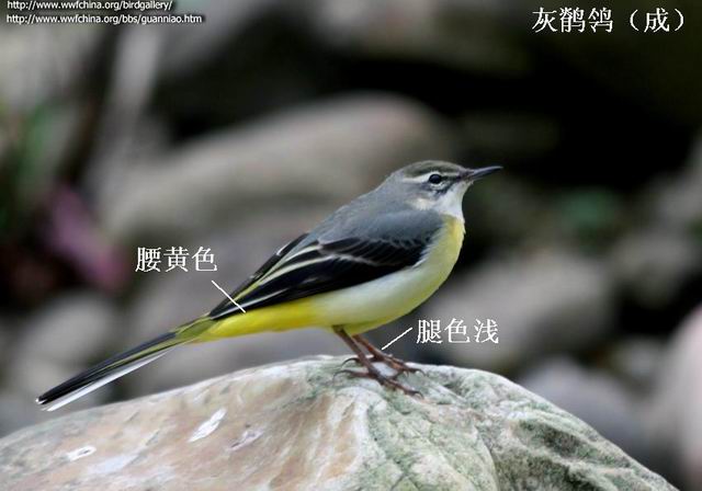 ������С ���n�_���ɣ�.jpg