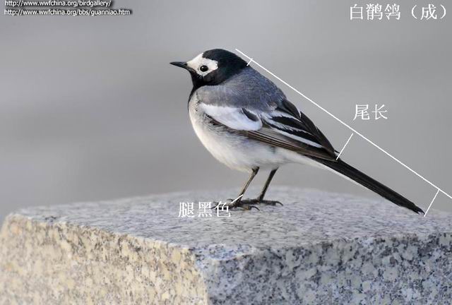 ������С ���n�_���ɣ�.jpg