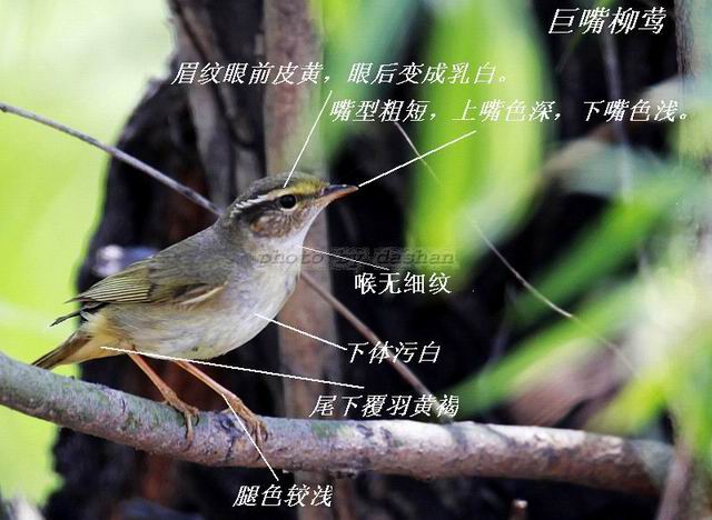 ������С ������ݺ.jpg