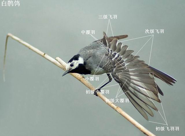 ������С ���n�_��չ��.jpg