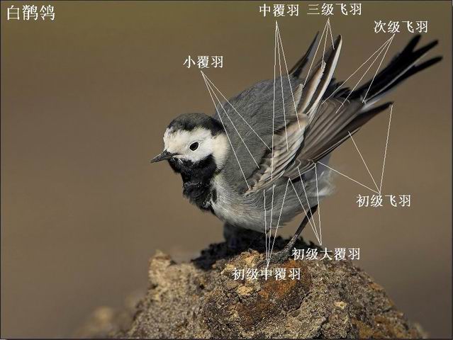 ������С ���n�_���գ�.jpg