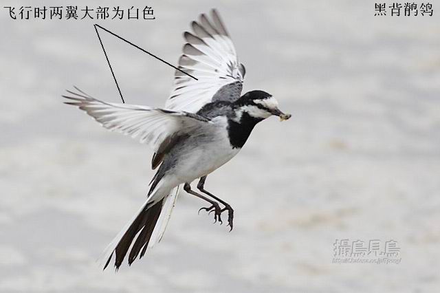 ������С �ڱ��n�_���ɣ�.jpg