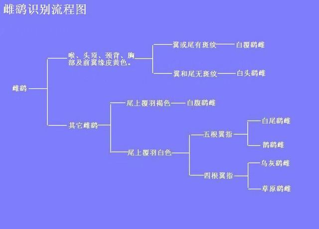 ������С ����ͼ.jpg