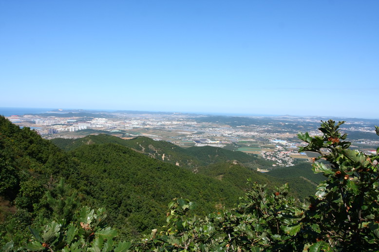 辽宁观鸟之一 ------- 老铁山蛇