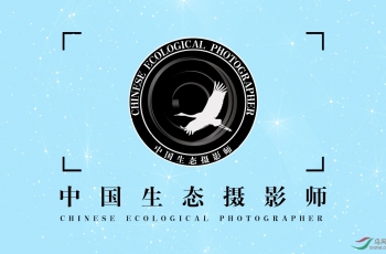中国生态摄影师名单-不断更新中...