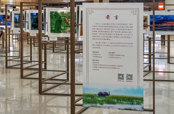 鸟网在中国国际贸易中心举办“人与自然”摄影展