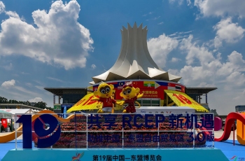 第十九届中国东盟博览会开幕