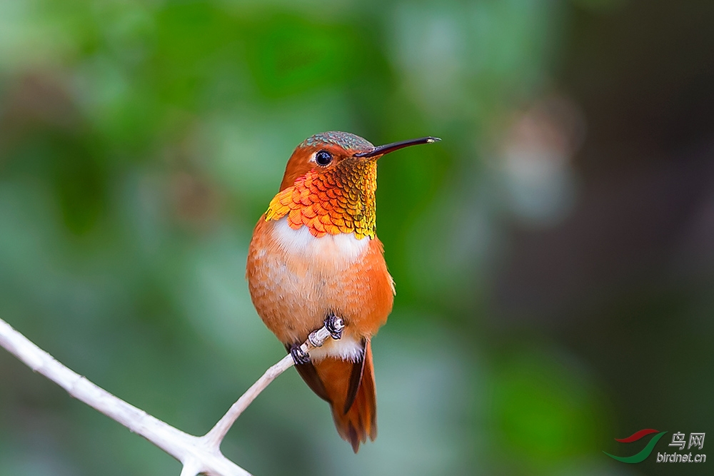 ÿ��һͼ֪һ��֮����