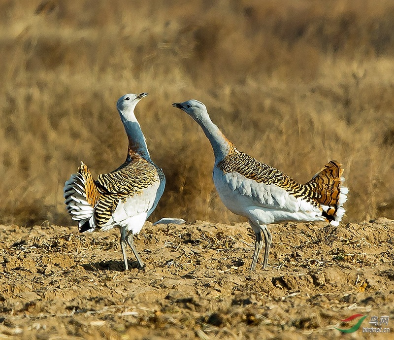 ÿ��һͼ֪һ��֮���