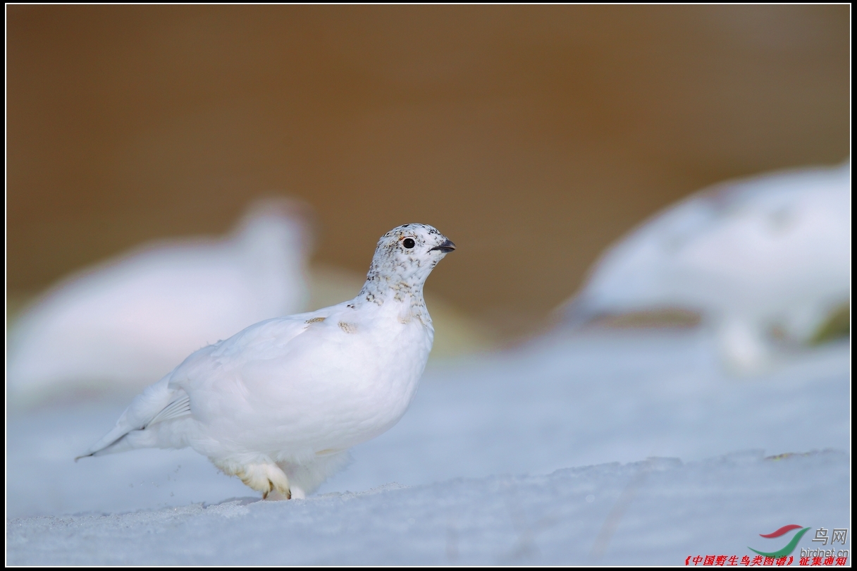 ÿ��һͼ֪һ��֮������