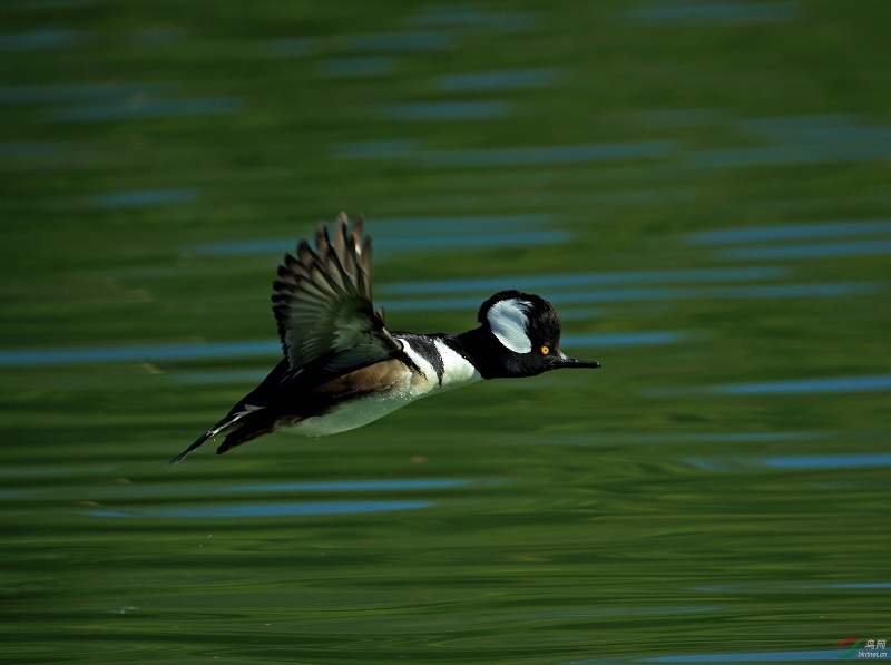 ÿ��һͼ֪һ��֮������ɳѼ