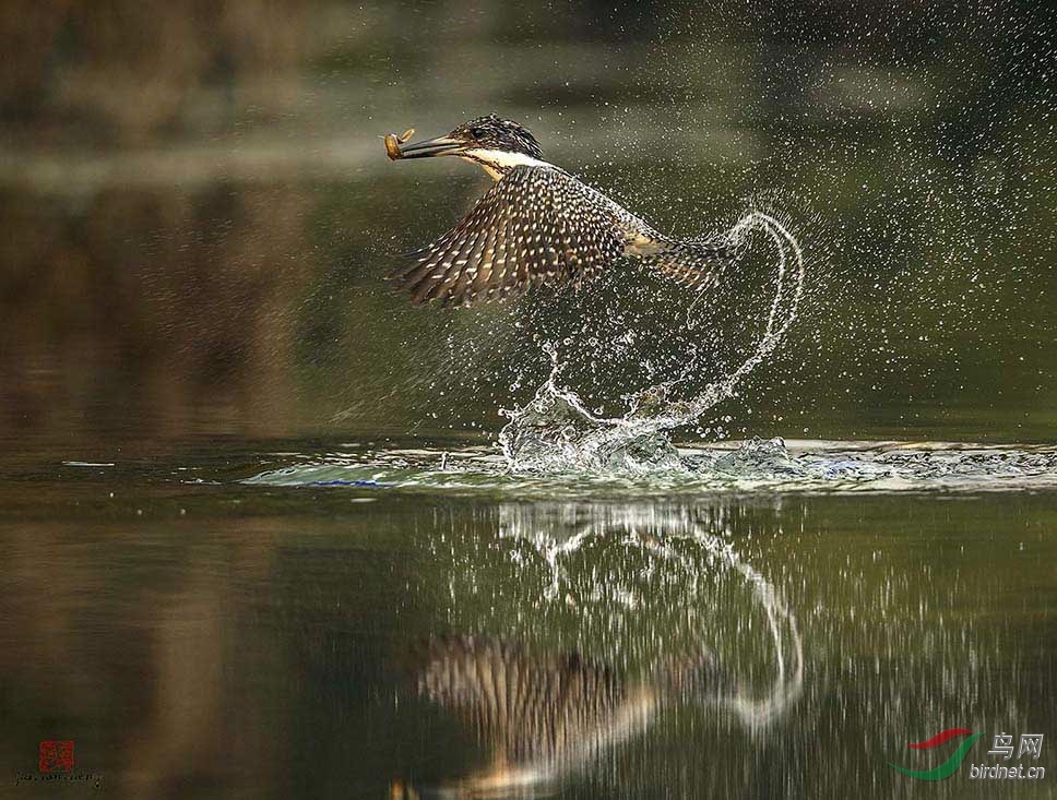 ÿ��һͼ֪һ��֮���㹷