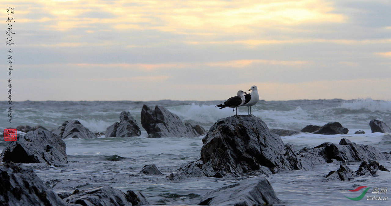 ÿ��һͼ֪һ��֮��Ÿ