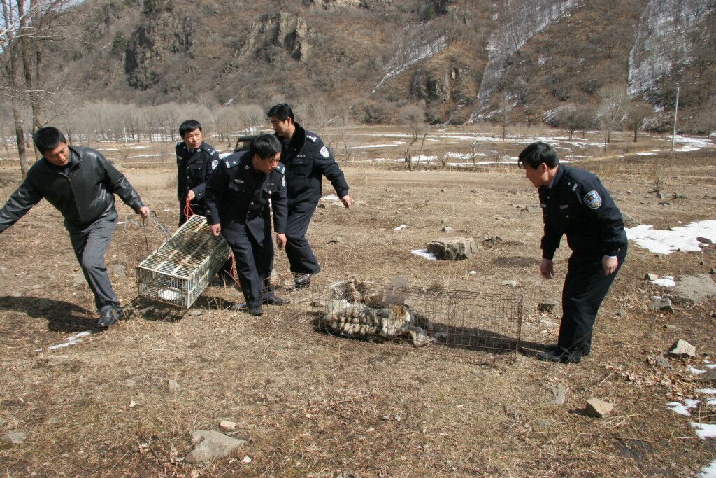 �ӱ���չ�����ж��� ��ȭ���ɭ����ԴΥ������