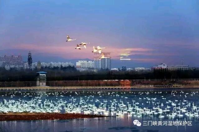 ����Ͽ��������Ϊ��������켰��Ϣ������