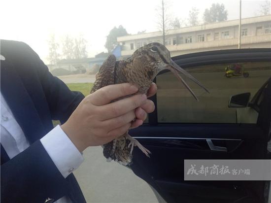 �Ĵ���������񵽼������æ���� ���Ǳ�Σ��������